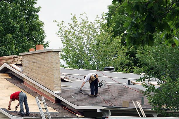 Best Roof Gutter Cleaning  in Tazewell, TN