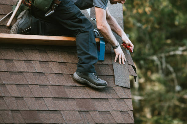 Best Roof Maintenance Services  in Tazewell, TN